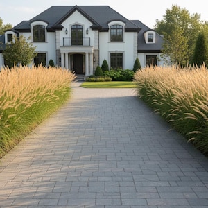 May include: A paved driveway made of rectangular gray stones leads toward a two-story white house with a dark roof. Tall, golden-plumed ornamental grasses line both sides of the path, creating a symmetrical border leading to the front entrance.