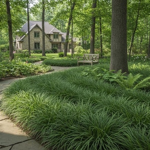 May include: A serene outdoor scene featuring a stone pathway winding through lush green grass and trees. A house with a stone facade is visible in the background. A wooden bench sits near the house, adding to the tranquil atmosphere.