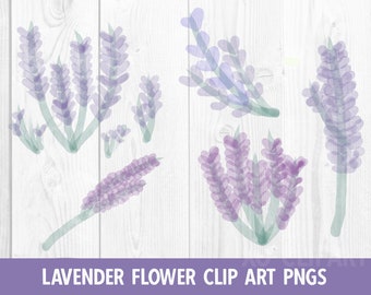 Watercolor Lavender Flower Clip Art PNGs