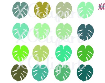 Green Monstera Leaves Clip Art PNGs