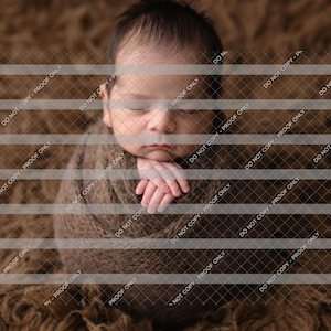 Ai Safe Watermark, for Pixieset users, Shootproof, Evoto, honeybook, Transparent png watermark, Protect online gallery, Grid pattern