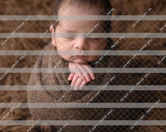 Ai Safe Wasserzeichen, für Pixieset Benutzer, Shootproof, Evoto, Honeybook, Transparentes PNG Wasserzeichen, Protect Online-Galerie, Gittermuster