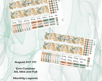 Erin Condren - Kit mensual KIT-171 de agosto - Verano de Florida