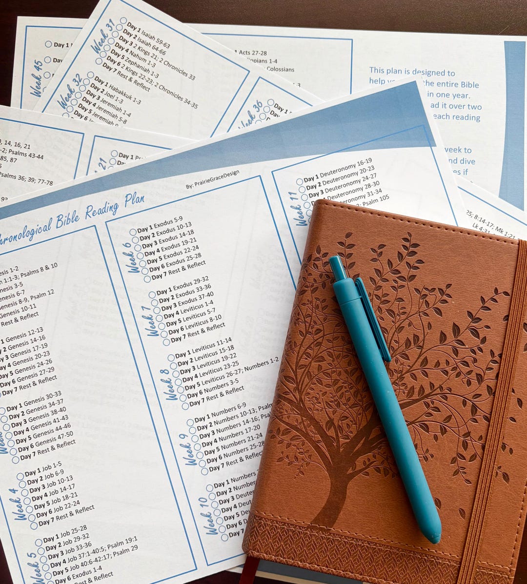 1 Year Chronological Bible Reading Plan - Digital Download - Etsy Canada