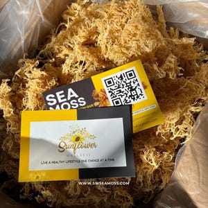 St Lucia Sea Moss In Bulk | Wholesale Raw Sea Moss Premium Quality