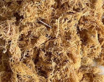 St Lucia Sea Moss In Bulk | Wholesale Raw Sea Moss Premium Quality