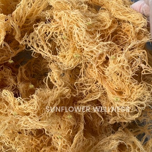 sea moss