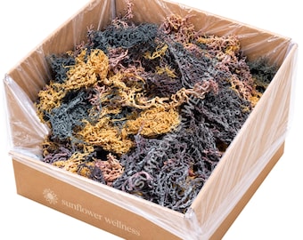 St. Lucia Sea Moss: Full Spectrum Gold, Green, Purple - Wildcrafted Raw Seaweed