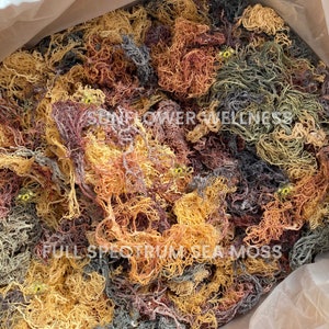 sea moss raw