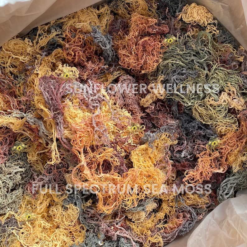 sea moss raw