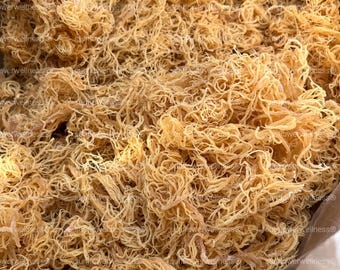Raw Gold Sea Moss 8oz – Organic St Lucia Irish Seamoss | Wildcrafted, Superfood, Natural