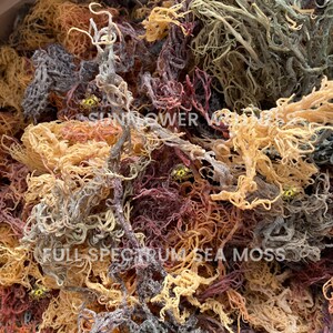 bulk sea moss
