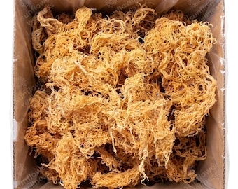 Raw Sea Moss Sun-Dried in St. Lucia | Bulk | Wildcrafted | Grade A