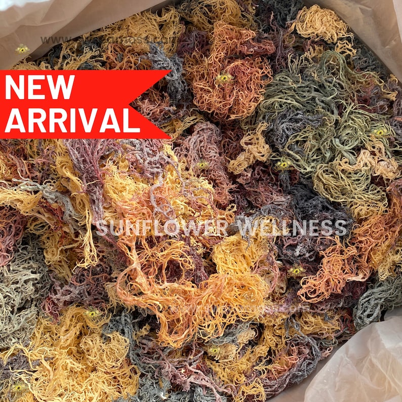 sea moss