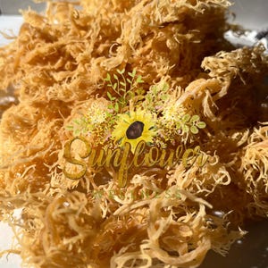 St Lucia Sea Moss - Raw Organic Premium Quality - Gold