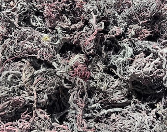 Purple Sea Moss | Raw St Lucia Purple Sea Moss Bulk | Seamoss for Gel