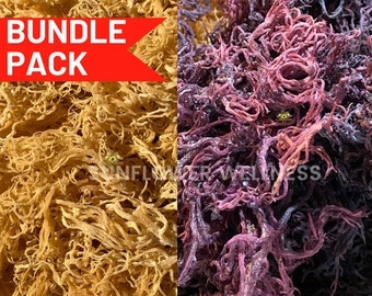 Gold & Purple Sea Moss Bundle | St. Lucia Raw Sea Moss | Caribbean Sea Moss for Gel Making | Ocean Harvested