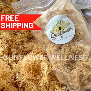 5lb Wildcrafted St Lucia Sea Moss – Raw, Premium Grade A Gold, Bulk Wholesale