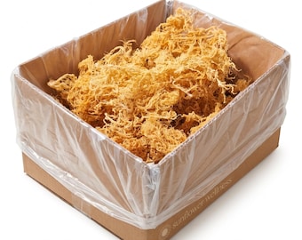 5lb Gold Sea Moss | Bulk Raw St. Lucia Irish Moss | Wildcrafted Sea Moss for Gel Making & Wholesale