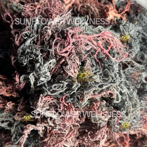 Purple & Green Sea Moss Bundle – Wildcrafted from St. Lucia, Premium Grade A Organic, Rare