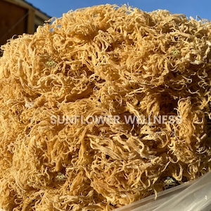 Saint Lucia Sea Moss Raw 100% Organic - 8oz