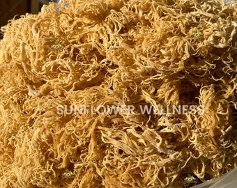 Sea Moss Raw St Lucia Wildcrafted Bulk For Gel Making