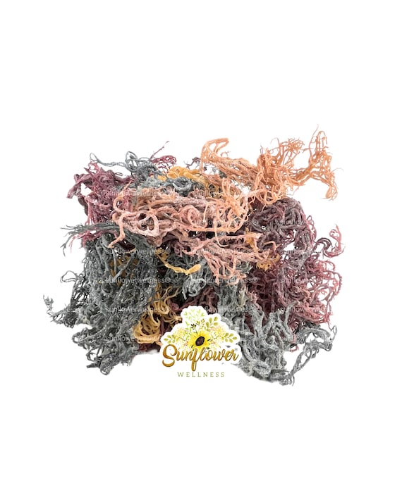 Full Spectrum Sea Moss | Irish Sea Moss Multi Color St. Lucia Wildcrafted Grade A Quality