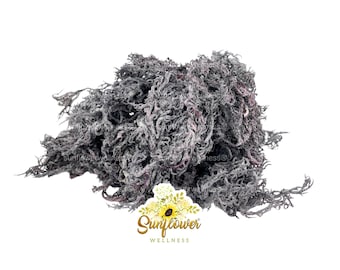 Purple Sea Moss Bulk 5lb Wildcrafted St. Lucia Irish Sea Moss