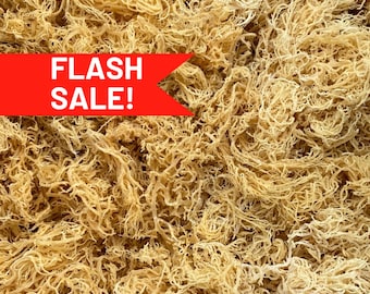 1lb Sea Moss Raw | St. Lucia Wildcrafted Gold | 100% Natural | Grade A Organic Seamoss