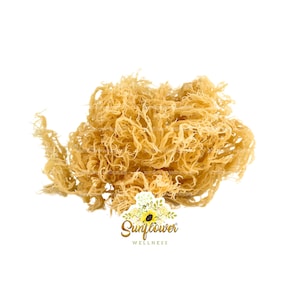 St Lucia Sea Moss – Gold Wildcrafted Raw | Bulk 1lb–50lbs
