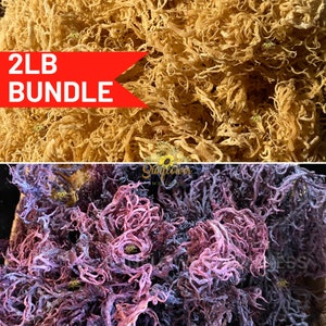 St Lucia Sea Moss Bundle, High Quality - Gold, Rare Purple Seamoss