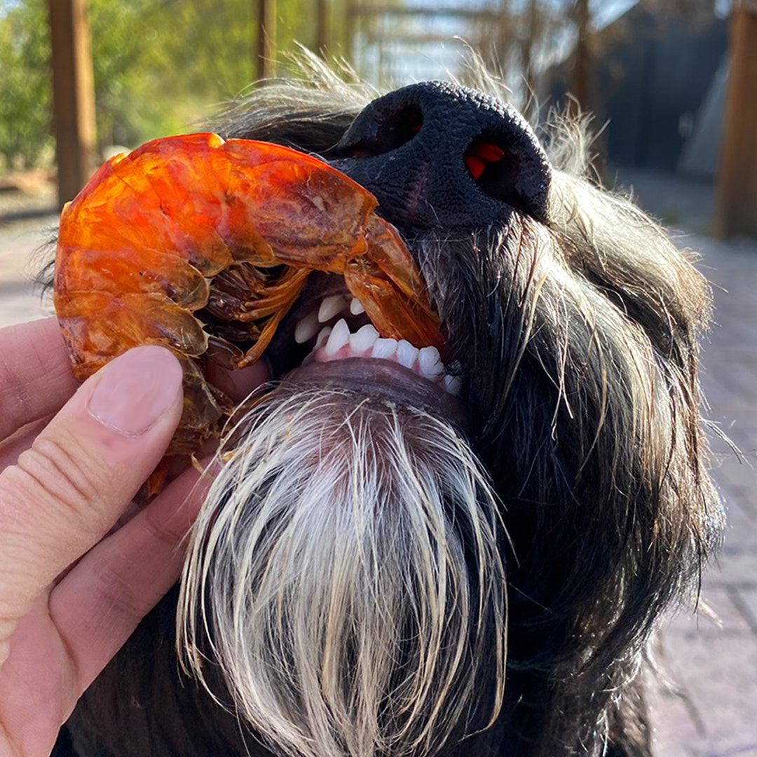 Head on Shrimp Wild Shrimp for Dogs Dehydrated Wild Shrimp Etsy