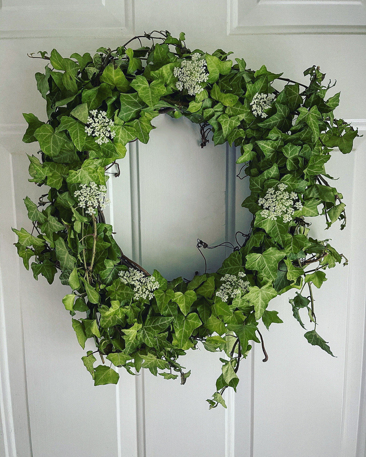 Live English Ivy Wreath Etsy