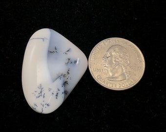 May include: A white and gray dendritic agate cabochon with black dendrites. The cabochon is about the size of a US quarter.