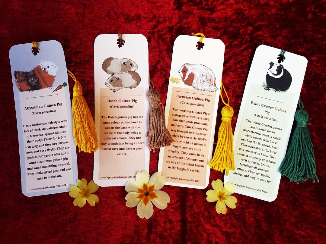 Bookmarks Guinea Pigs - Etsy