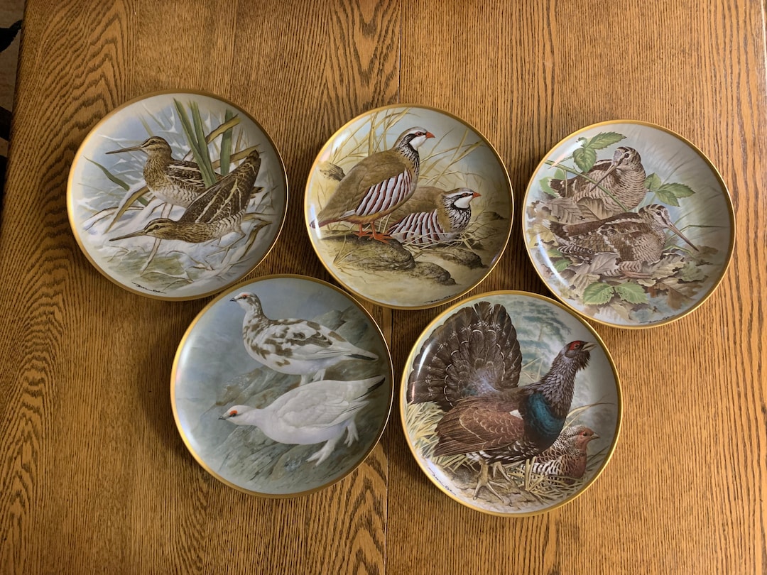 CHOICE of Vintage Gamebirds of the World by Basil Ede - Etsy
