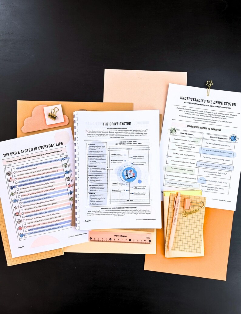 various educational materials, including a notebook, a worksheet, and a diagram, all related to the concept of the drive system in everyday life.