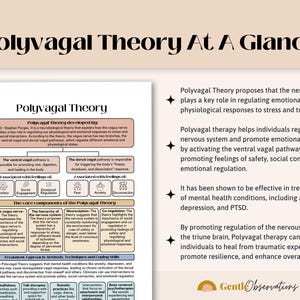 Polyvagal Theory Cheatsheet for Nervous System Regulation, Polyvagal Theory Ladder, Window of Tolerance, Somatic Therapy, PTSD Therapy Tools image 3