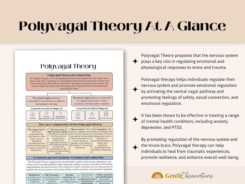 Polyvagal Theory Cheatsheet for Nervous System Regulation, Polyvagal Theory Ladder, Window of Tolerance, Somatic Therapy, PTSD Therapy Tools image 3
