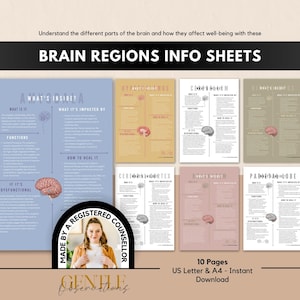 May include: A set of educational info sheets titled BRAIN REGIONS INFO SHEETS, featuring text about brain anatomy and function. The sheets are color-coded in blue, tan, white, grey, pink, and beige, with illustrations of the brain on each page.
