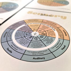 15 Feelings Wheels: Trauma, Trauma Reactions, Anxiety, Atlas of The Heart, Power & Control, Self-Care, DBT Skills, Somatic, ADHD, Sensory image 10