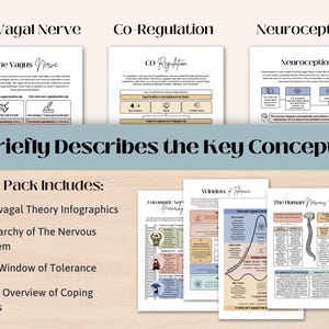 Polyvagal Theory Cheatsheet for Nervous System Regulation, Polyvagal Theory Ladder, Window of Tolerance, Somatic Therapy, PTSD Therapy Tools image 2