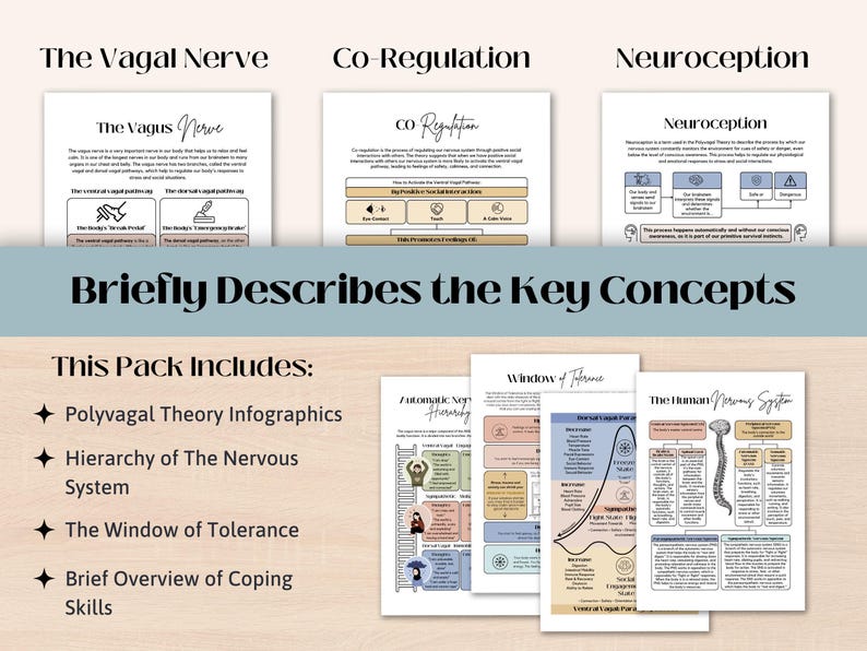 Polyvagal Theory Cheatsheet for Nervous System Regulation, Polyvagal Theory Ladder, Window of Tolerance, Somatic Therapy, PTSD Therapy Tools image 2