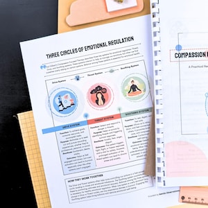 a book titled "Three Circles of Emotional Regulation" with a diagram and text explaining the three emotional regulation systems. The book is placed on a desk with a ruler and a stapler nearby.