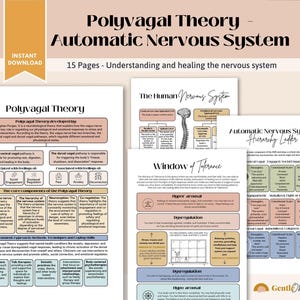 Polyvagal Theory Cheatsheet for Nervous System Regulation, Polyvagal Theory Ladder, Window of Tolerance, Somatic Therapy, PTSD Therapy Tools image 5