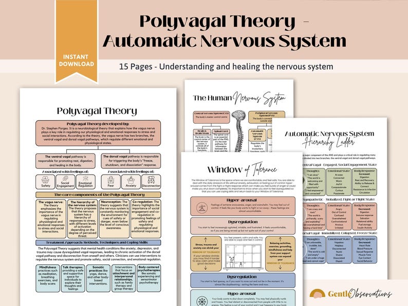 Polyvagal Theory Cheatsheet for Nervous System Regulation, Polyvagal Theory Ladder, Window of Tolerance, Somatic Therapy, PTSD Therapy Tools image 5