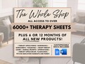 Whole Shop Mega Bundle, Trauma, Anxiety, Depression, Somatic Therapy, IFS, Polyvagal, DBT, Self-Care, ADHD, Schema Therapy Worksheets & More