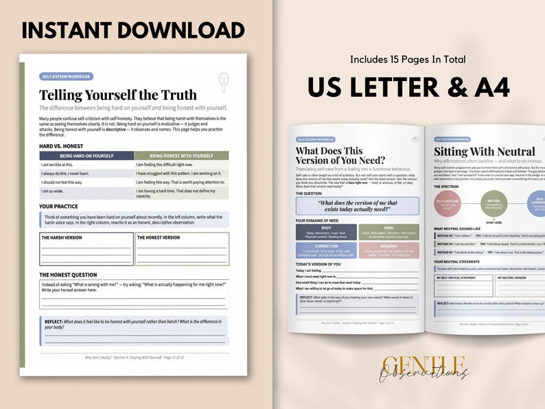 Who Am I, Really? Self-Esteem Workbook | Inner Critic, Values, Identity | Anxiety, Depression | Therapist Tools | Printable PDF image 11