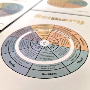 15 Feelings Wheels: Trauma, Trauma Reactions, Anxiety, Atlas of The Heart, Power & Control, Self-Care, DBT Skills, Somatic, ADHD, Sensory image 10