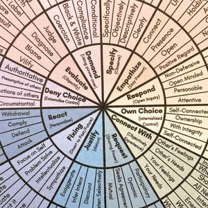 15 Feelings Wheels: Trauma, Trauma Reactions, Anxiety, Atlas of The Heart, Power & Control, Self-Care, DBT Skills, Somatic, ADHD, Sensory image 4